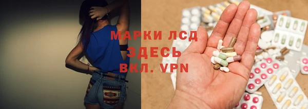 СК Михайловск
