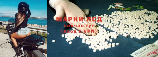 СК Михайловск