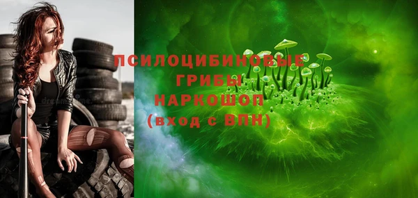 мдпв Надым