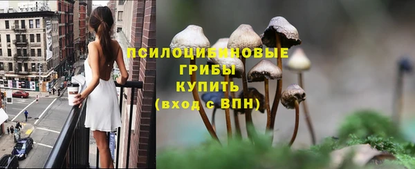 мдпв Надым