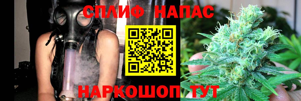 Конопля SATIVA & INDICA Баксан