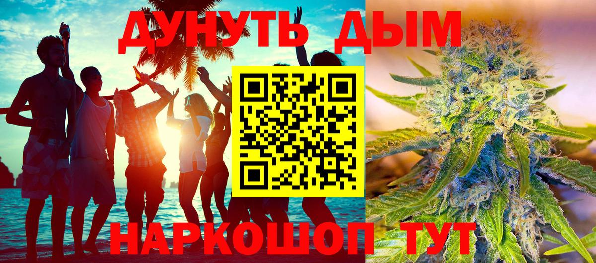 Каннабис SATIVA & INDICA  Бошки марихуана сатива  Баксан  Бошки Шишки план  Конопля SATIVA & INDICA 